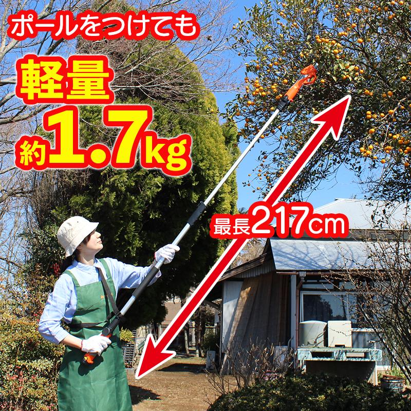 YARD FORCE（ヤードフォース） 高枝切りばさみ 2way「12Vコードレス