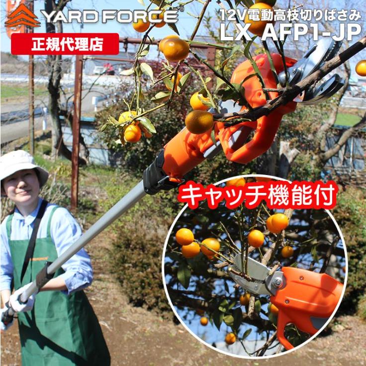 YARD FORCE（ヤードフォース） 高枝切りばさみ 2way「12Vコードレス