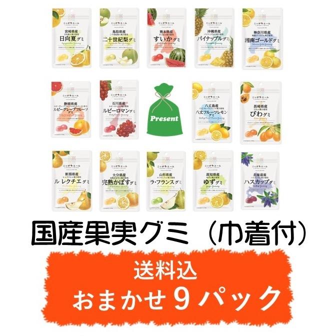 最愛 送料無料 巾着付 全農国産果実グミ9種類おまかせ詰め合わせセット 簡易包装送 クリックポスト