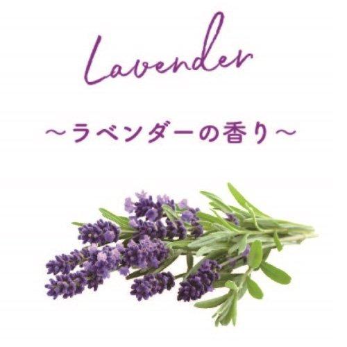 Aroma Mask アロママスク ラベンダー 大人用 5枚入り 不織布 高機能bfe95 天然香料100 ウィルス 細菌 飛沫 花粉対策 白 ギフト 贈り物 B26 Lv やさしいおみせ Yahoo 店 通販 Yahoo ショッピング