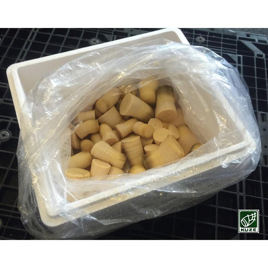 国産 新物フレッシュボイル筍 5kg : やさい工房.久世食品 - 通販