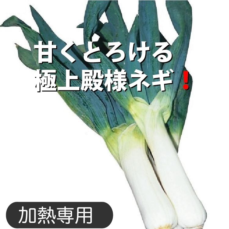 92 以上節約 甘くとろける極上ネギ 下仁田ネギ 3kg 15本前後 冬鍋22 Rmladv Com Br