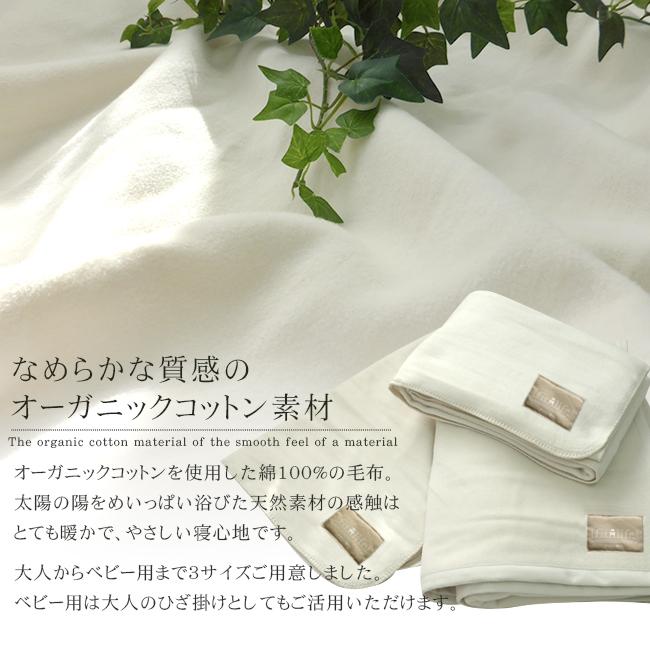 fit life やさしい暮らし 綿毛布 シングル 日本製 泉州 暖かい