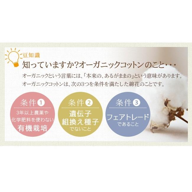 タオルケット サマーケット シングル おしゃれ 子供 日本製 オーガニックコットン 綿100 泉州タオル Bnt1419 やさしい暮らし 通販 Yahoo ショッピング