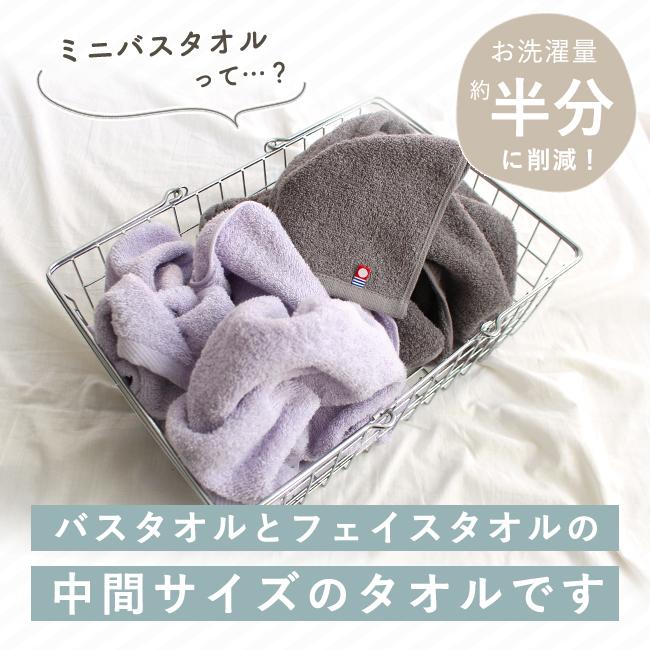 今治タオル（imabari towel） ミニバスタオル 3枚セット ヘア ドライ