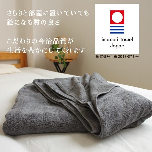 今治タオル（imabari towel） タオルケット 今治 シングル 綿100 日本