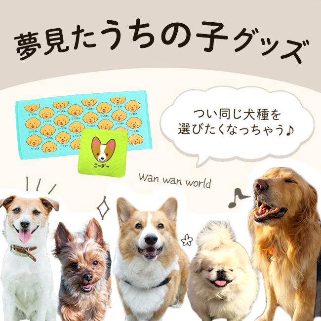 ハンカチ＆フェイスタオル セット 動物 犬【選べるメッセージシール