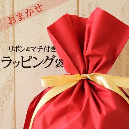 リボン マチ付きラッピング袋 贈り物やプレゼント用に おまかせラッピング メール便不可 Wrap01 Ribbon やさしい暮らし 通販 Yahoo ショッピング