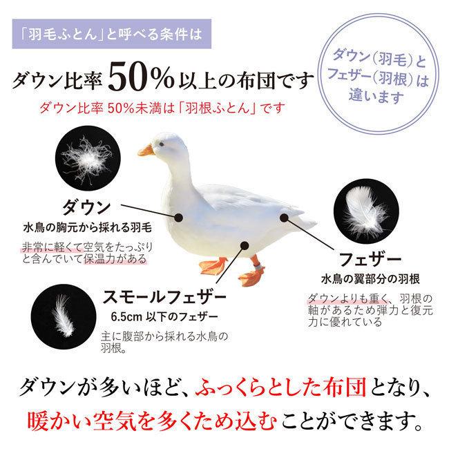 東洋紡羽毛布団 水鳥羽毛100% ダウン90% 掛け布団 8020 本掛けダウン90%羽毛布団 - 甲州羽毛ふとん公式通販