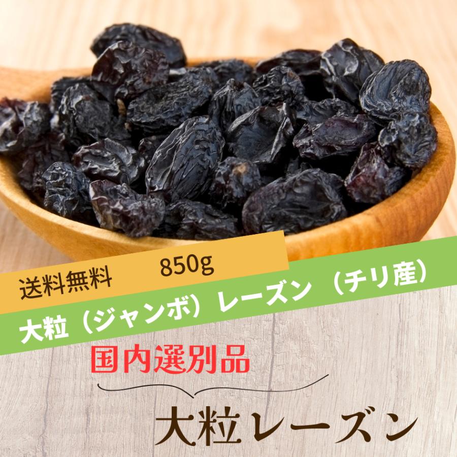 国内選別品 レーズン お試し大粒干し葡萄 850g 干しぶどう チリ　ジャンボレーズン フレームレーズン（Yahoo!・やさしいグラノーラ）