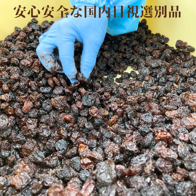 国内選別品 レーズン お試し大粒干し葡萄 2.5k（850g×3袋入） 干し