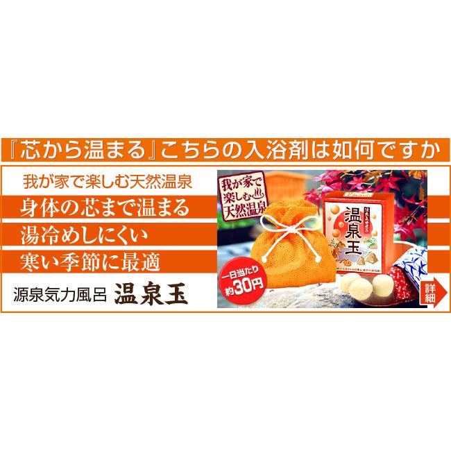入浴剤 ギフト 温泉 源泉気力風呂 温泉玉 ゲルマニウムボール 