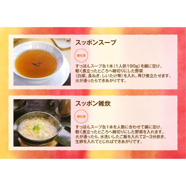 美味益気寿 すっぽんスープ／5本セット ( イワタニ 岩谷 すっぽん