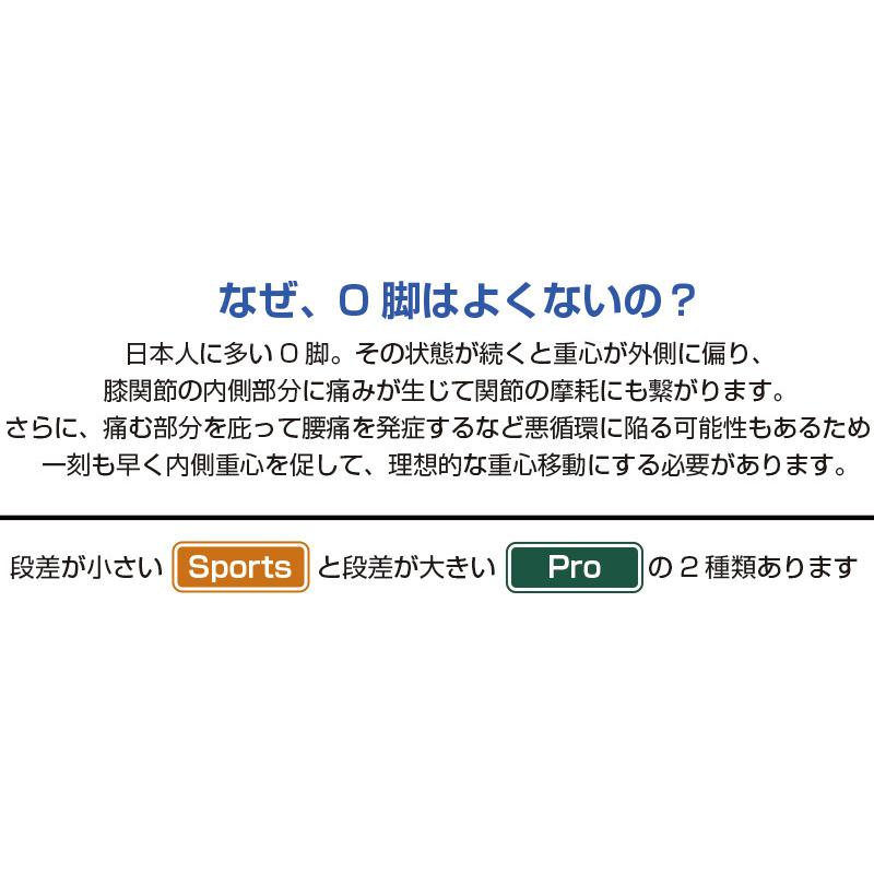 ドクターバランス インソール （プロ）( メンズ レディース 男女兼用