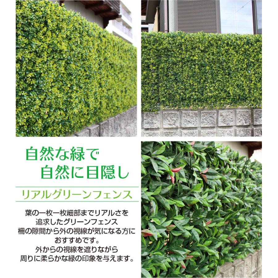 緑のカーテン グリーンフェンス 幅100cm×縦100cm ( リアルグリーン 