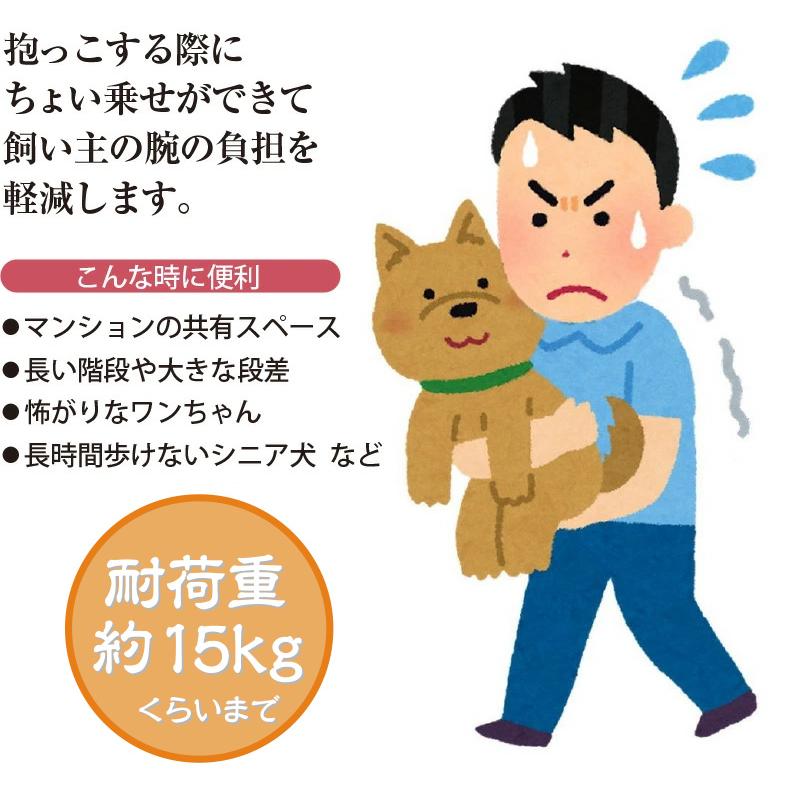 日本製 ちょい乗せ ペット用 お散歩 ヒップシート EX ブラック