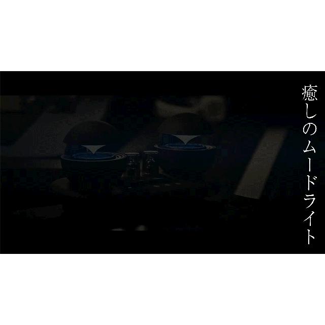 ハイブリッド 真空管 オーディオシステム MK30 ( 真空管アンプ 真空管