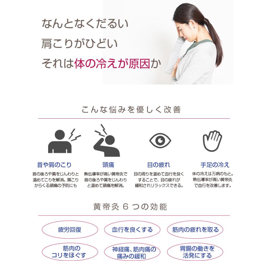 クーポンで2500円OFF) 電気温灸器 黄帝灸 ナノプラチナ2型 HS2000 温熱