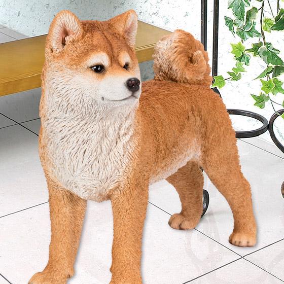 リアル犬 左向き 秋田犬 （大） 49.5 x 22.5 45.3 cm (幅x奥x高) 本物そっくり