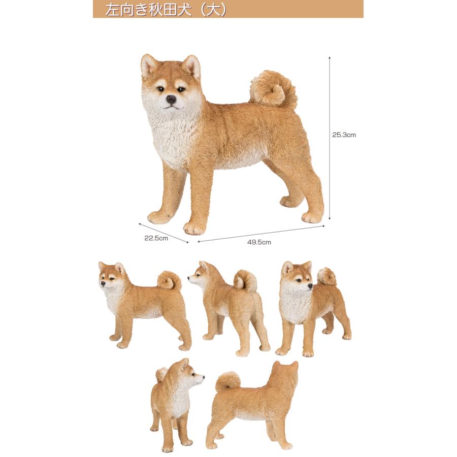 いぬ 五黑犬