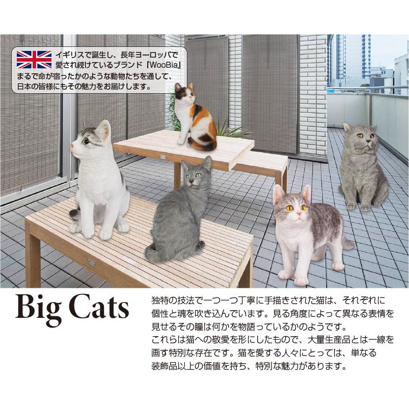 お座りサバトラ白猫（大）25 x 17 30.5cm (幅x奥x高) 本物そっくり