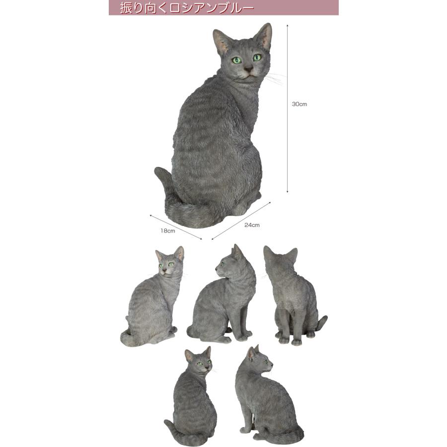 振り向くロシアンブルー 24 x 18 30 cm (幅x奥x高) 本物そっくり