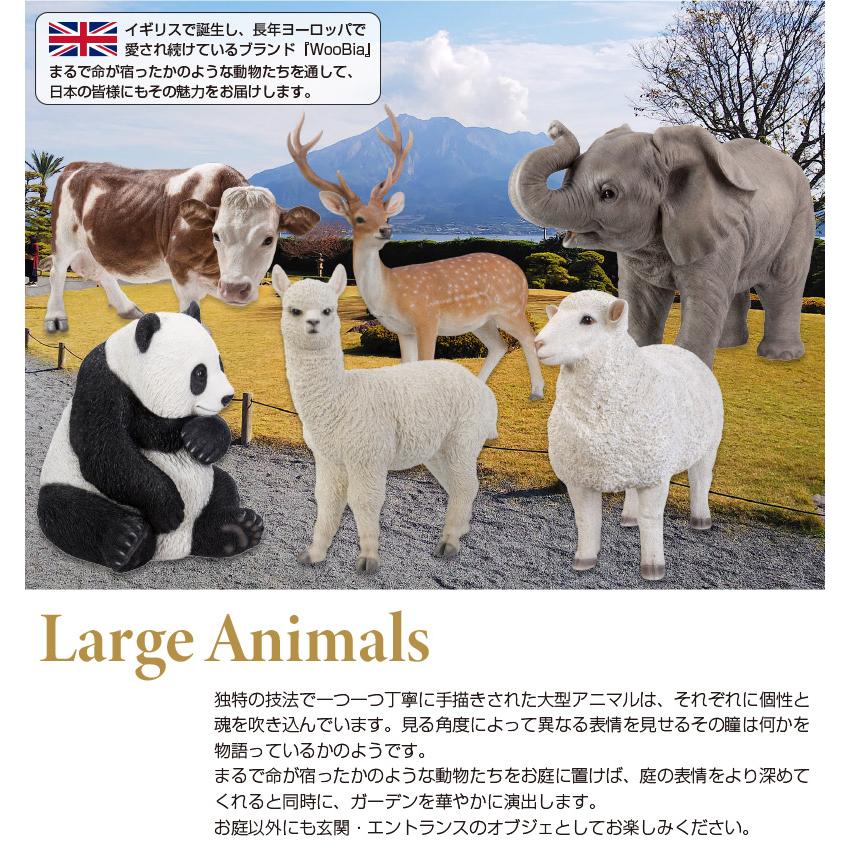 見つめる羊（大） 76 x 37 62.5 cm (幅x奥x高) 本物そっくり リアル 羊