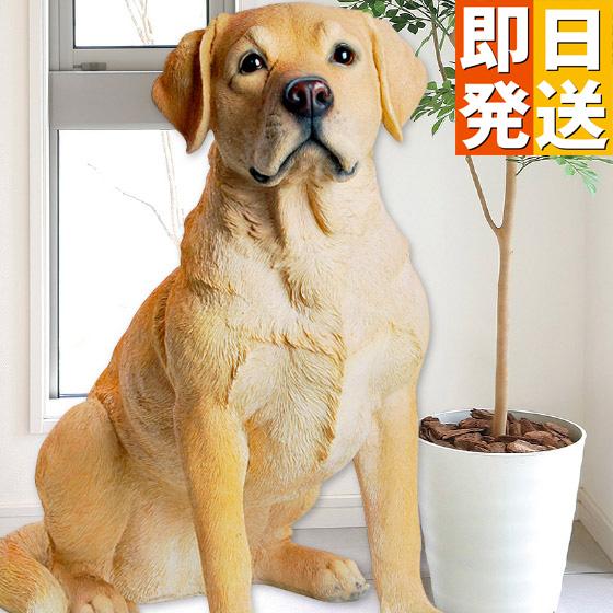お座りラブラドール レトリバー 53 x 31 54 cm (幅x奥x高) 本物