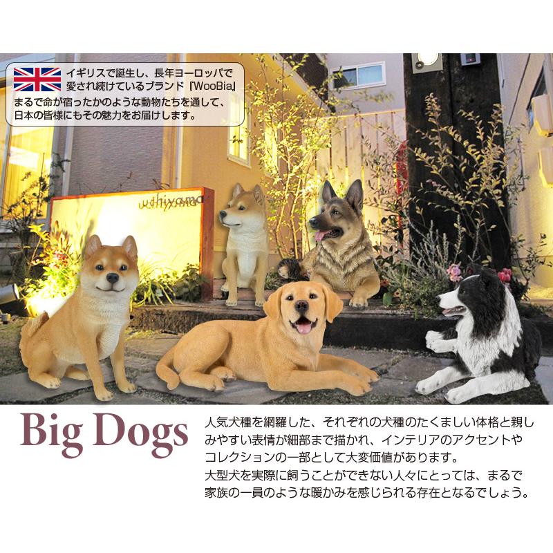 お座りラブラドール レトリバー 53 x 31 54 cm (幅x奥x高) 本物