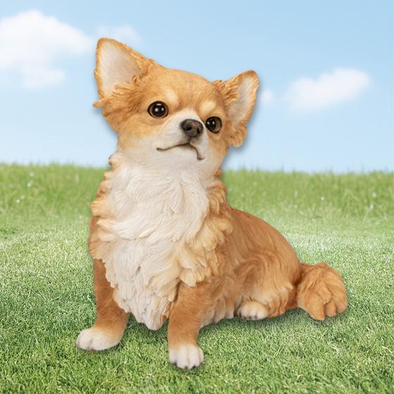 見上げるチワワ ( 本物そっくり リアル 犬 犬型 ドッグ いぬ イヌ ワン