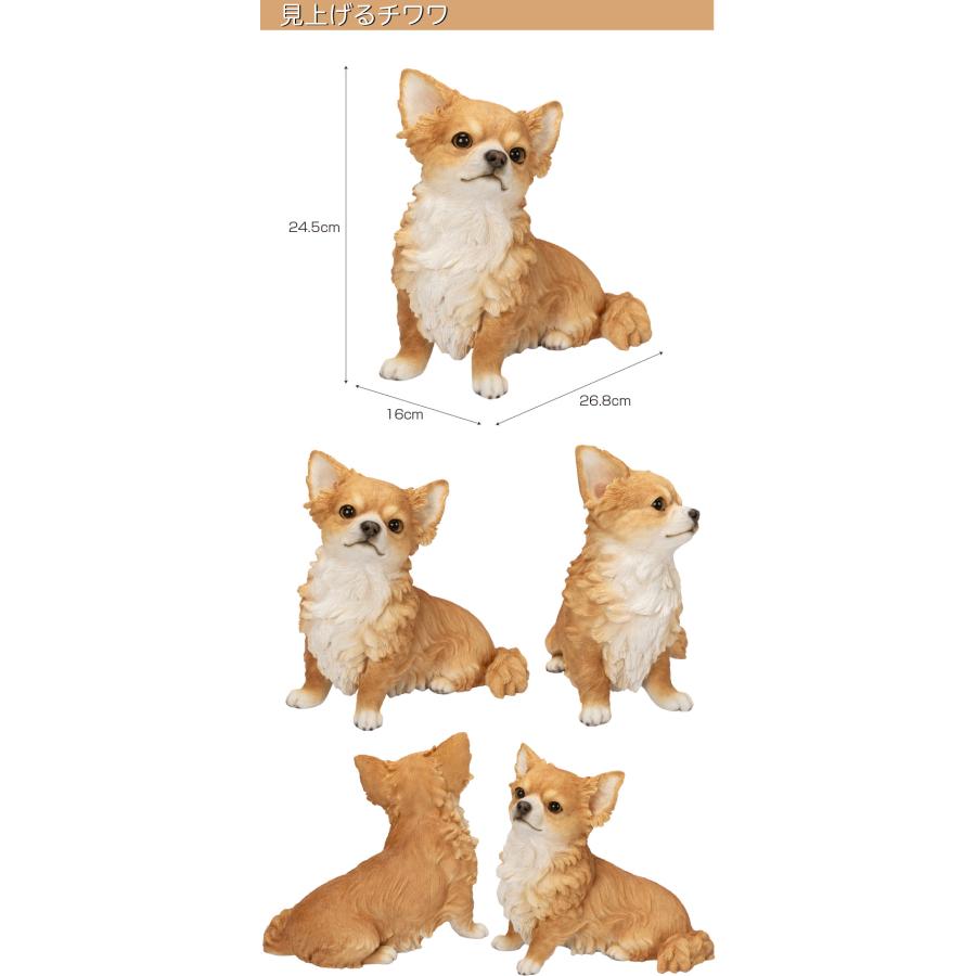 アオシン　元気な仔犬　日本製 アオシン 元気な仔犬 日本製