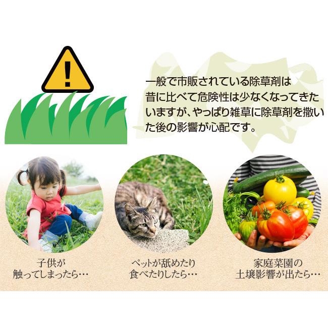 最安 除草剤 安全 草とりバイオくん 2本組 除草液 ペット 子供 雑草 芝 芝生 芝生用 強力 除草 雑草対策 草取り 土 汚さない 液体 無害 送料無料 Aynaelda Com