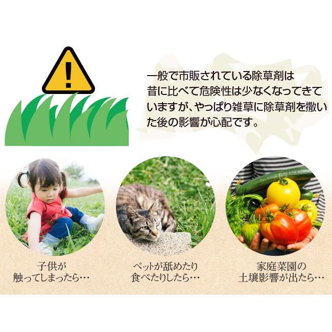 除草剤 安全 草とりバイオくん 2本組 根まで枯らす 無害 安全な除草剤
