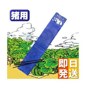 自転車 イノシシ