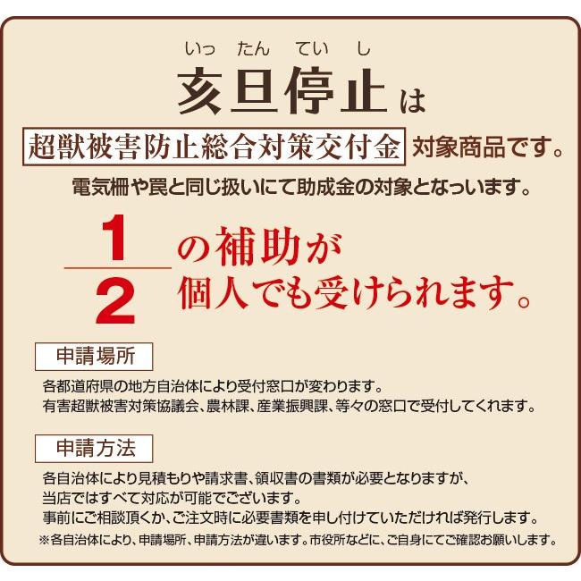 鹿 対策 グッズ 亥旦停止 鹿用 100枚 (シカ対策 シカ撃退 いったんていし シカ被害 カプサイシン 唐辛子 忌避剤 鹿対策 作物 侵入 防止  送料無料 )｜yasashisa｜06