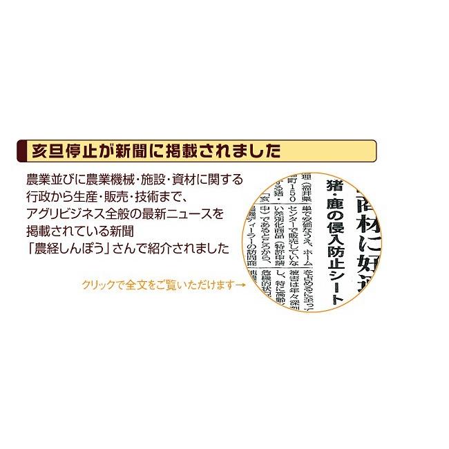 亥旦停止 猪豚用100枚 (イノブタ対策 イノブタ撃退 いったんていし イノブタ被害 カプサイシン 唐辛子 忌避剤 猪豚対策 作物 侵入 防止 )｜yasashisa｜03