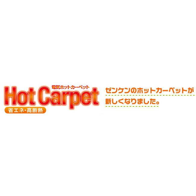 ゼンケン 電磁波カット ホットカーペット 3畳 本体のみ 195×235cm