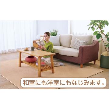 ゼンケン ホットカーペット 電磁波カット 3畳 カバー付き ZENKEN