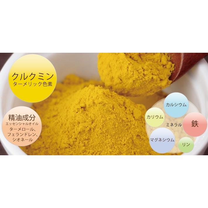 秋ウコン(沖縄県産) 無添加 100% パウダー 160g(80g×2個 秋ウコン(沖縄県産) 無添加 100% パウダー 160g(80g×2個