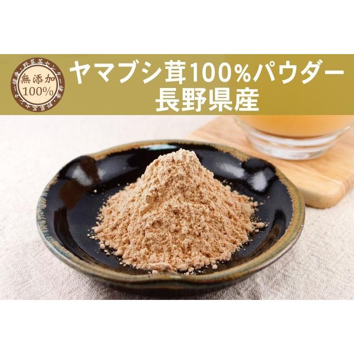ヤマブシタケ 長野県産 無添加 100 パウダー 100g 山伏茸 粉末 やまぶし茸 健康茶 019 100 健康 野草茶センター 通販 Yahoo ショッピング