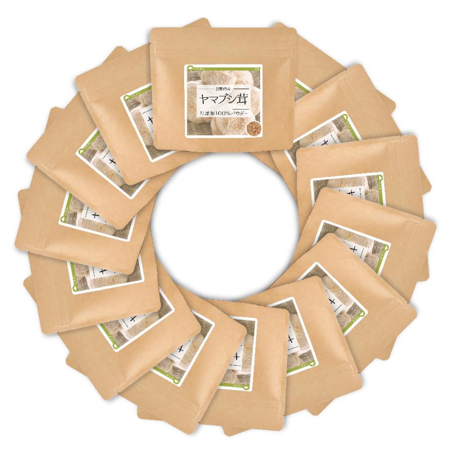 パウダー 粉末 健康茶 健康茶 ヤマブシタケ 長野県産 無添加 パウダー やまぶし茸 健康茶 100 100g 14個 山伏茸 019 1400 健康 野草茶センター