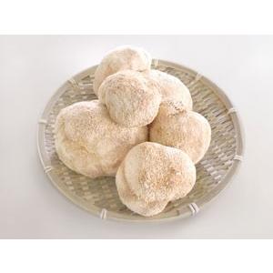 ヤマブシタケ(長野県産)無添加 100% パウダー 100g×4個 山伏茸 粉末 やまぶし茸 健康茶|yaso-cha|03