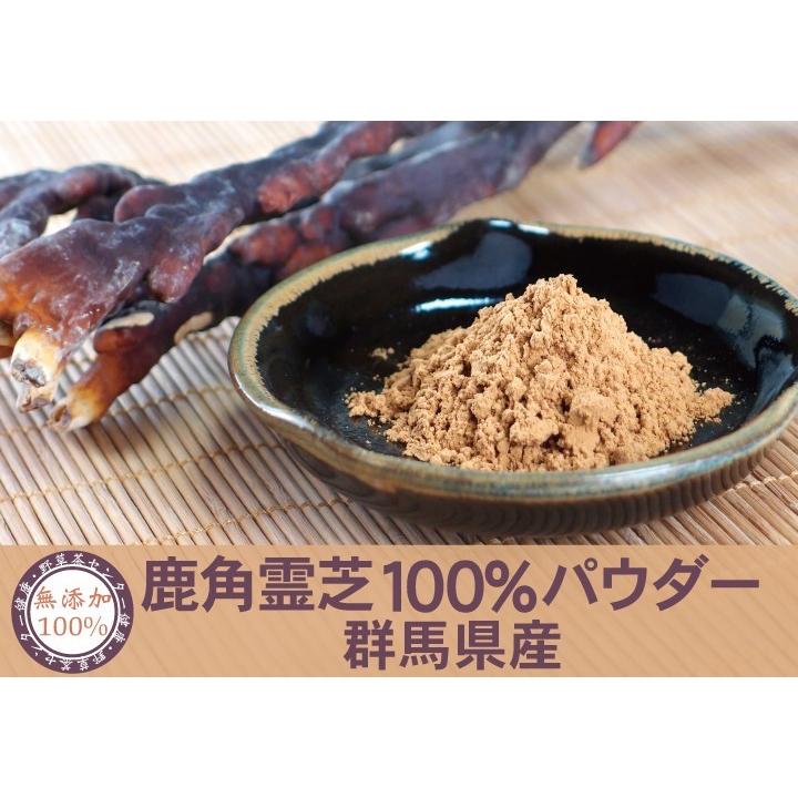 黄金霊芝茶【国内産 鹿角霊芝100%使用！！】 鹿角霊芝 国産 100% パウダー 40g×4個 粉末 国産 霊芝 れいし 国産
