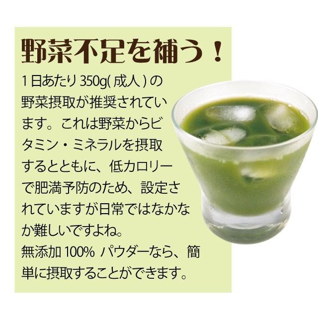 明日葉(八丈島産)無添加 100% パウダー 180g(90g×2個) 青汁 健康茶 明日葉茶 八丈島産 明日葉粉末 粉末 セルライト サプリ :025-180:健康・野草茶センター - 通販 - Yahoo!ショッピング 明日葉(八丈島産)無添加 100% パウダー 180g(90g×2個) 青汁 健康茶 明日葉茶 八丈島産 明日葉粉末 粉末 セルライト サプリ :025-180:健康・野草茶センター - 通販 - Yahoo!ショッピング