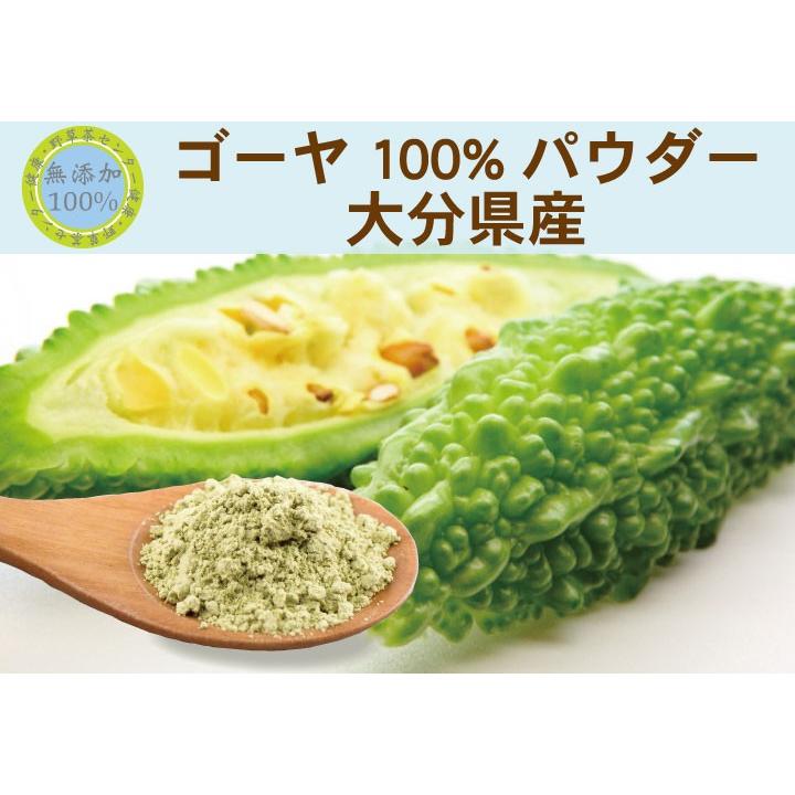 ゴーヤ（大分県産） 無添加 100% パウダー　160ｇ（80g×2個）ゴーヤ茶 ゴーヤ粉末 粉末　ニガウリ　にがうり　苦瓜　 有機　有機栽培　種　サプリ　｜yaso-cha｜02