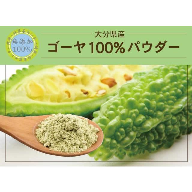 ゴーヤ（大分県産） 無添加 100% パウダー　640ｇ（80g×8個）ゴーヤ茶 ゴーヤ粉末 粉末　ニガウリ　にがうり　苦瓜　 有機　有機栽培　種　サプリ　｜yaso-cha｜02