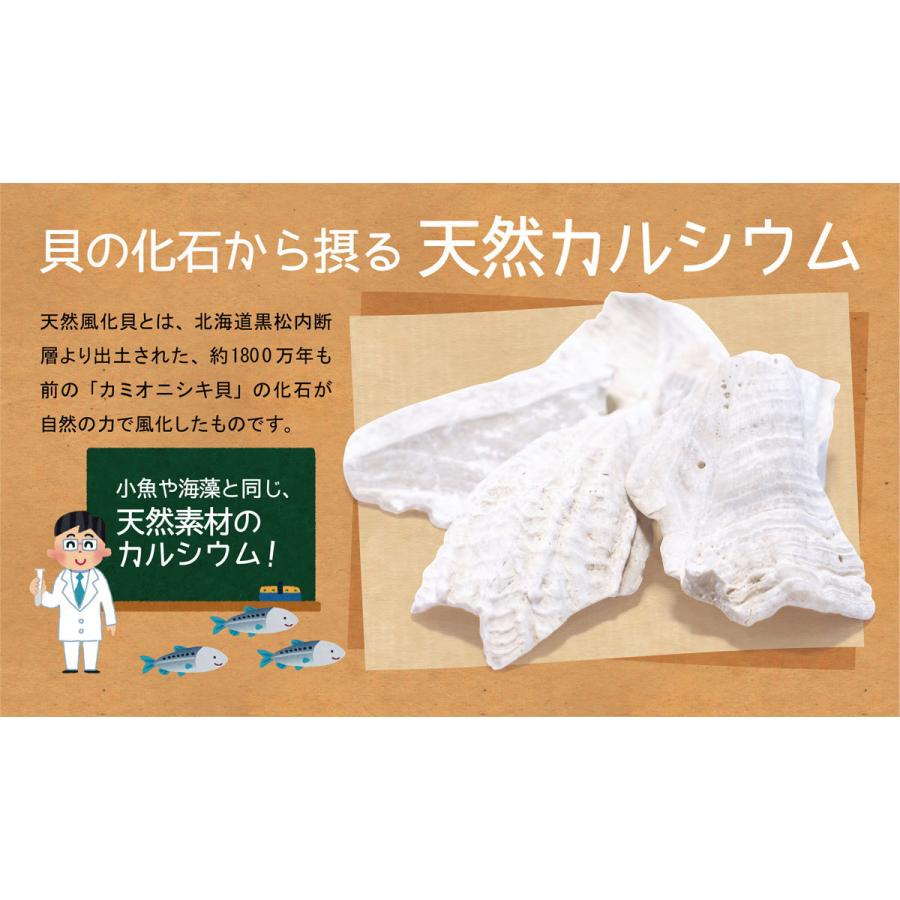 天然貝化石のカルシウム 北海道八雲産風化貝カルシウムサプリメント 