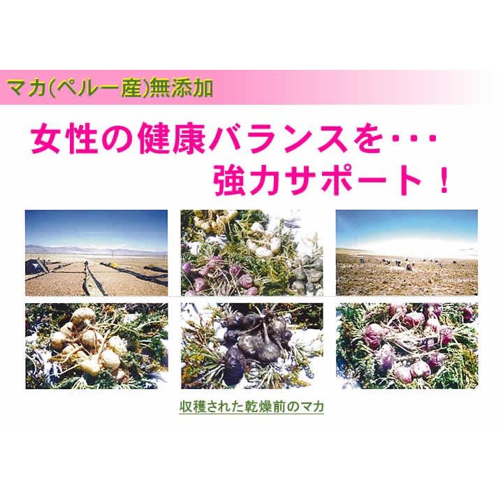 マカ(ペルー産)無添加 100% パウダー2800g(100g×28個)粉末 健康茶 マカ サプリ :034-2800:健康・野草茶センター - 通販 - Yahoo!ショッピング マカ(ペルー産)無添加 100% パウダー2800g(100g×28個)粉末 健康茶 マカ サプリ :034-2800:健康・野草茶センター - 通販 - Yahoo!ショッピング