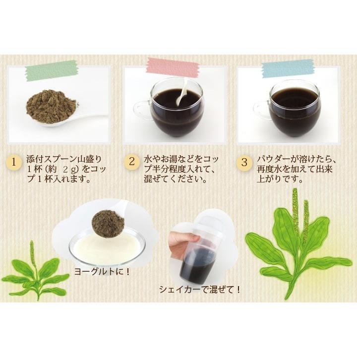 オオバコ(兵庫県産) 無添加 100% パウダー 100g   オオバコ茶 粉末 おおばこ青汁 オオバコダイエット｜yaso-cha｜04