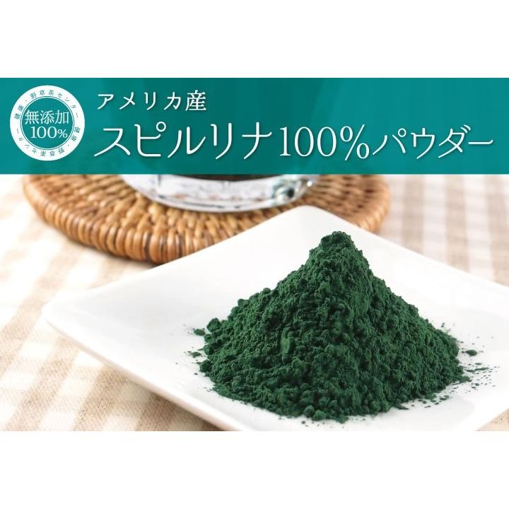 スピルリナ アメリカ産 無添加 100 パウダー 90g 14個 粉末 サプリ ダイエット 青汁 藍藻類 スーパーフード クロロフィル 053 1260 健康 野草茶センター 通販 Yahoo ショッピング
